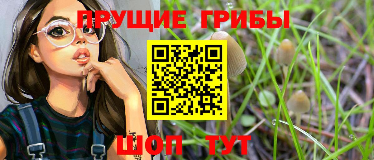 Лабинск  Псилоцибиновые грибы ЛСД  где купить наркотик  Вход с VPN 
